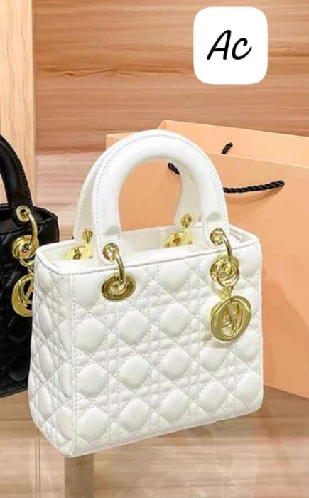 Christian Dior Bag