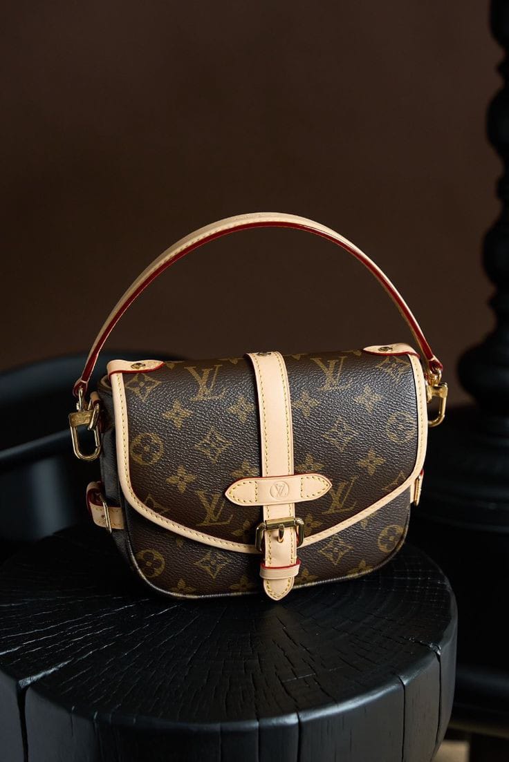 Louis Vuitton Bags