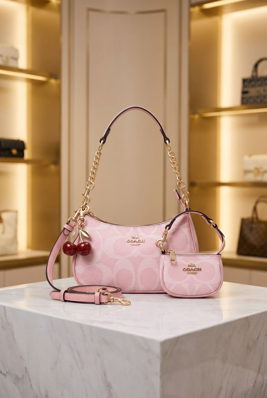Coach Teri Combo Bag
