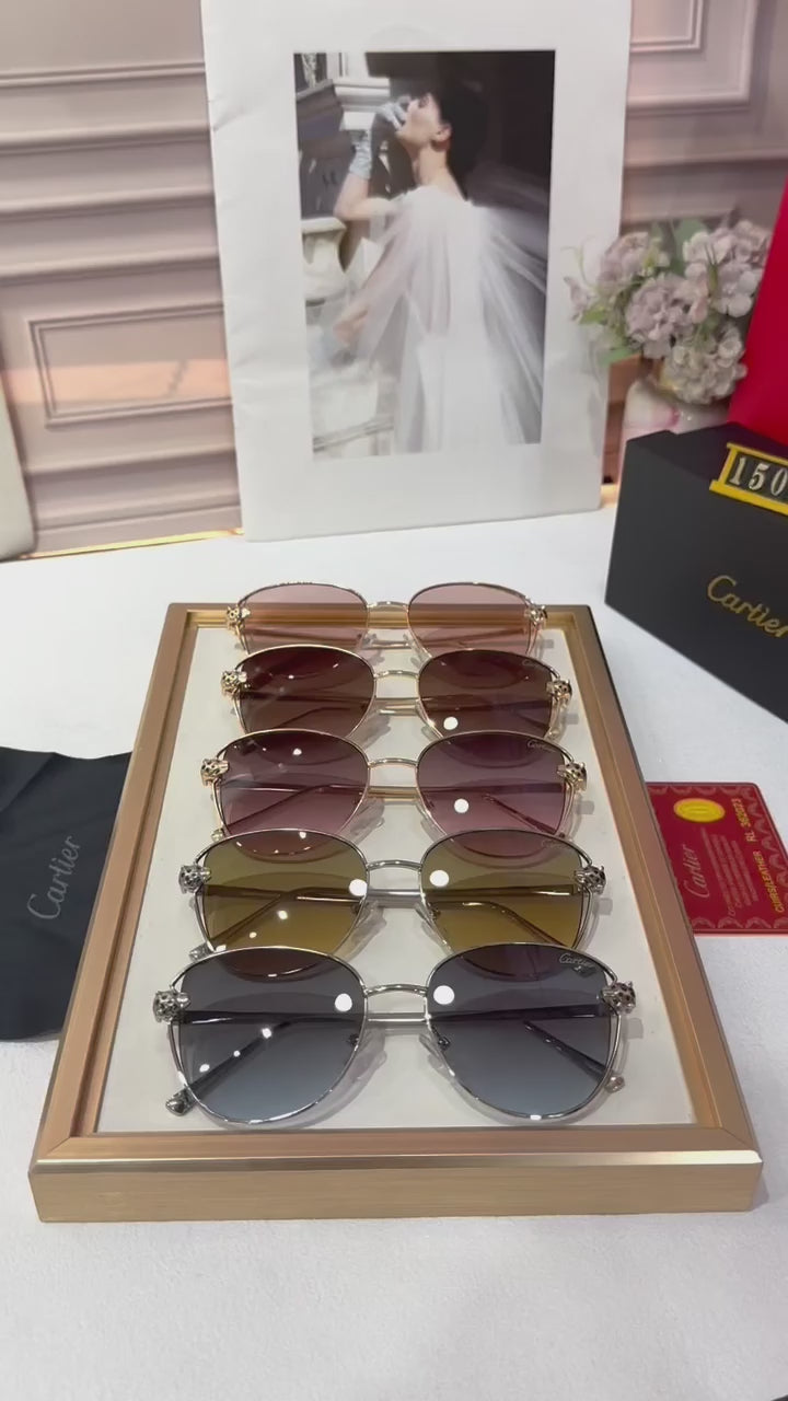 Exclusive Ladies UV Protected Sunglasses