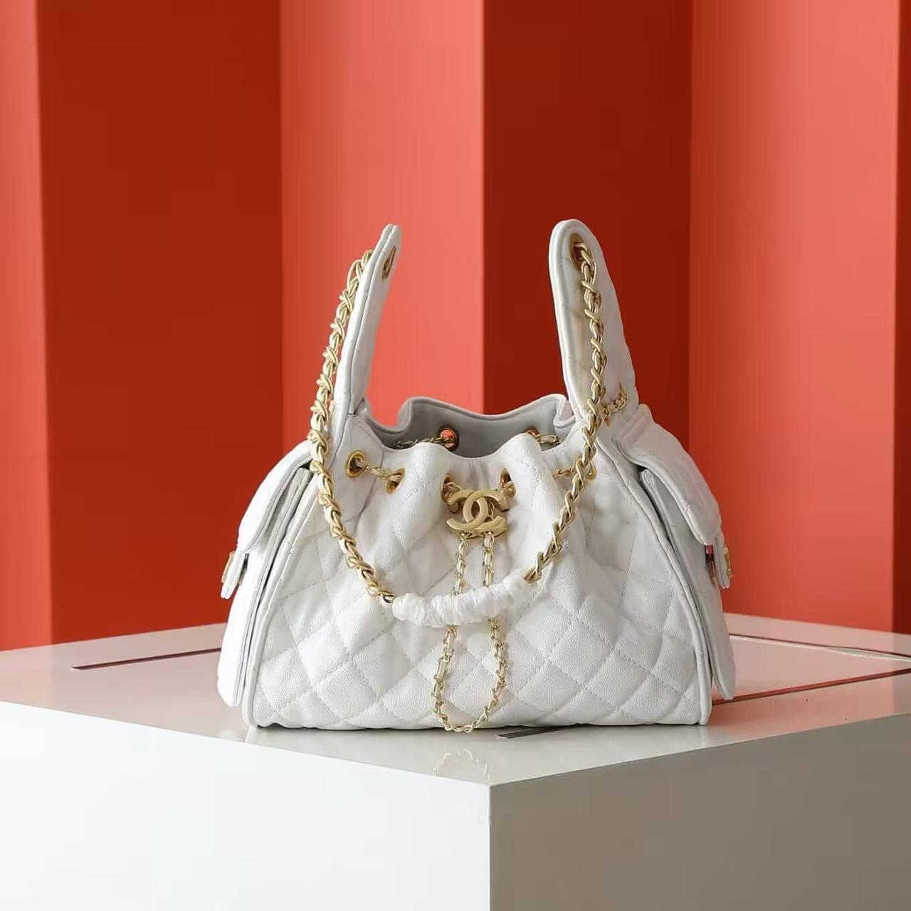 Women Mini Hobo Bag White 22cm With Box Premium Luxury Party Handbag India