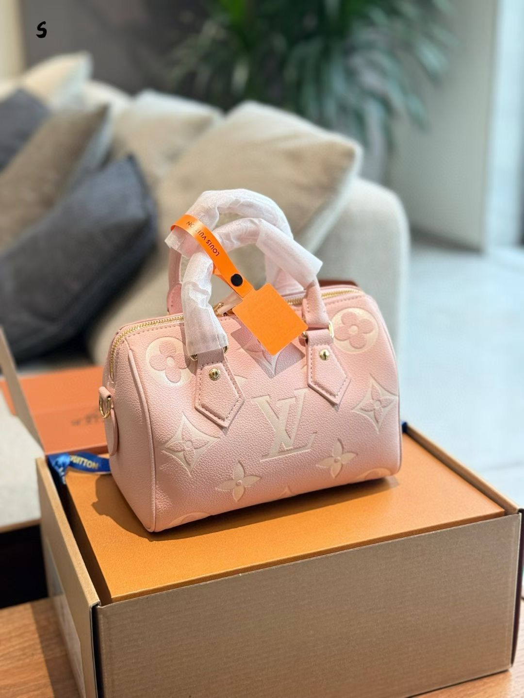 Louis Vuitton Speedy Bag - PR Collection