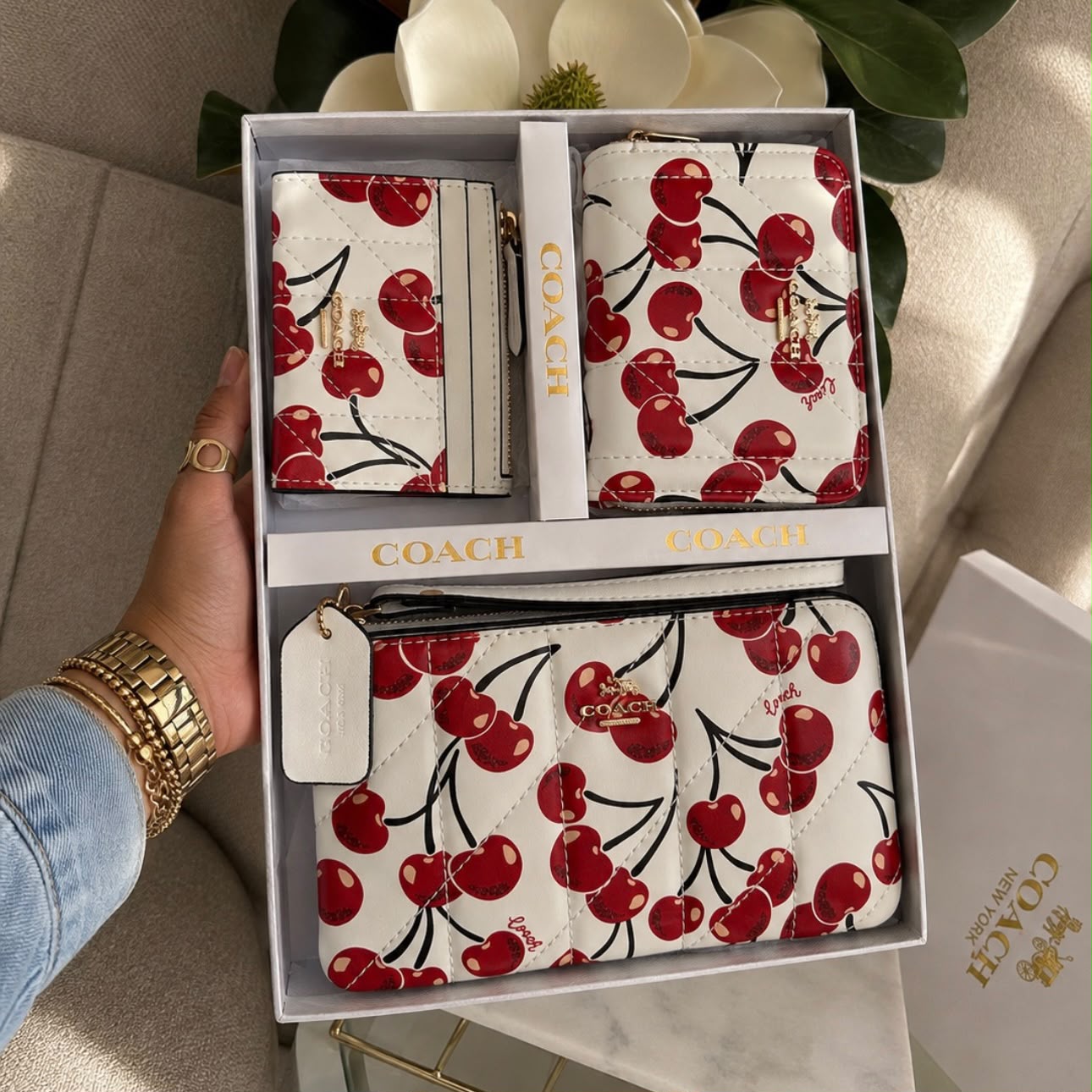 Premium Set of 3 Pouch Mini Wallet Card Holder D4 With Box Dust Cover Women India