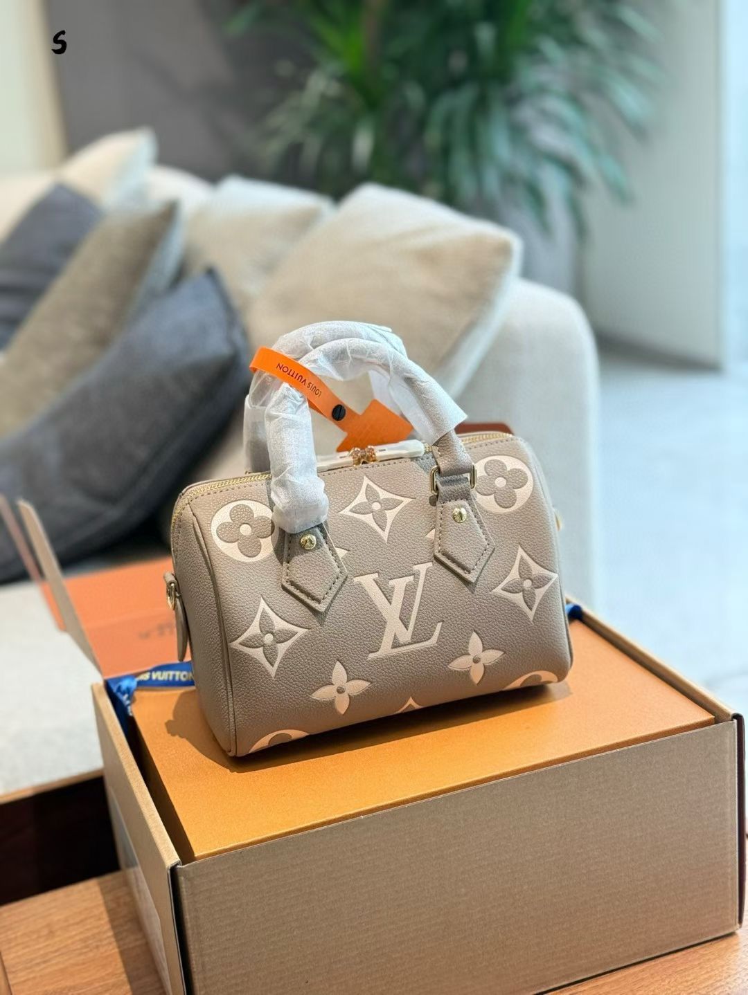 Louis Vuitton Speedy Bag - PR Collection